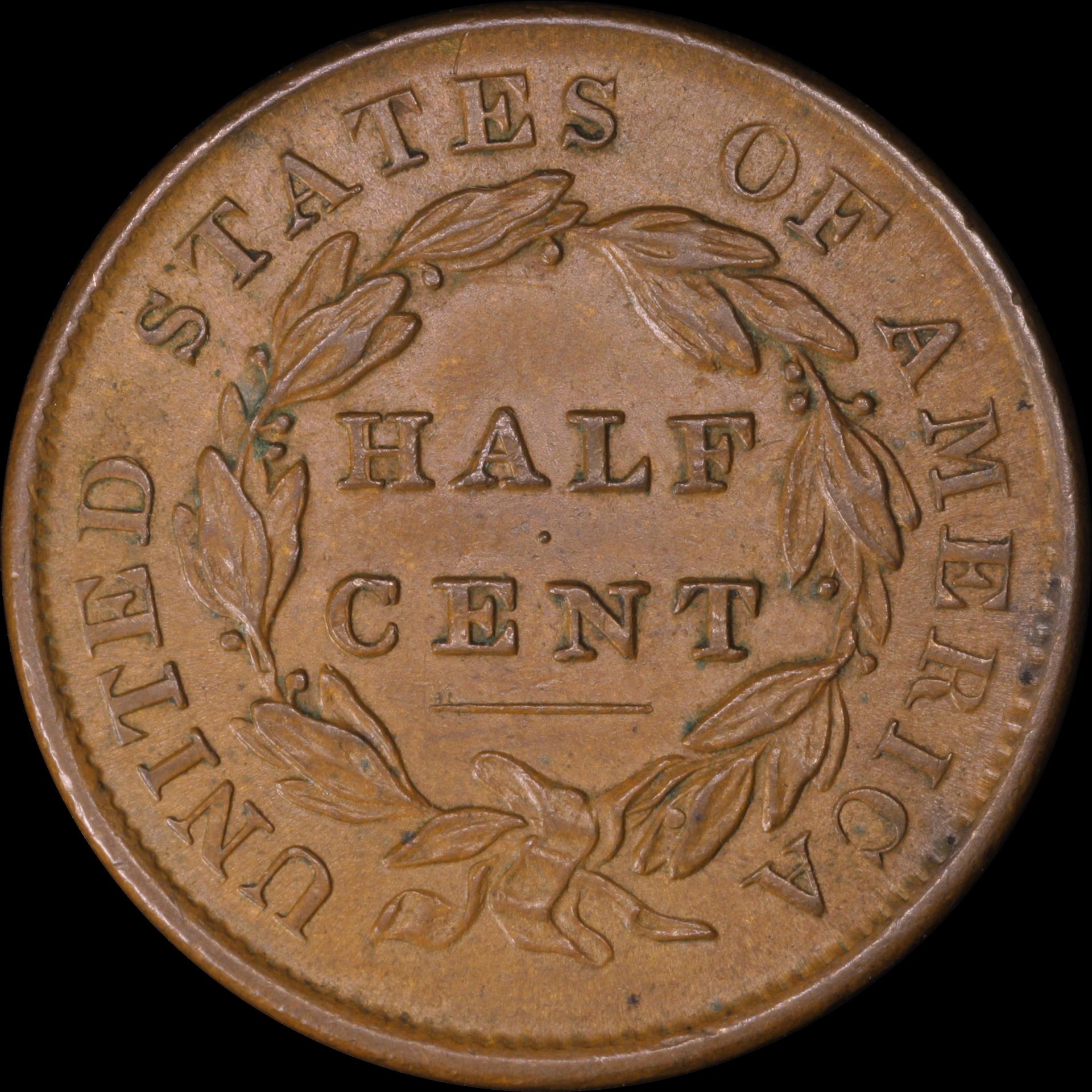 0.5c 1835 reverse 05.JPG