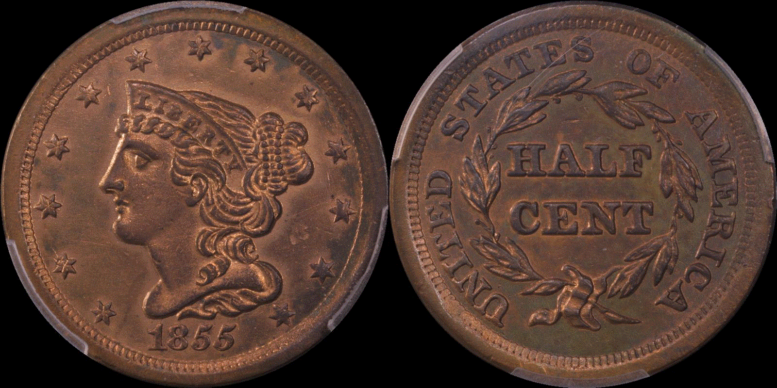 0.5c 1855 full 01.gif