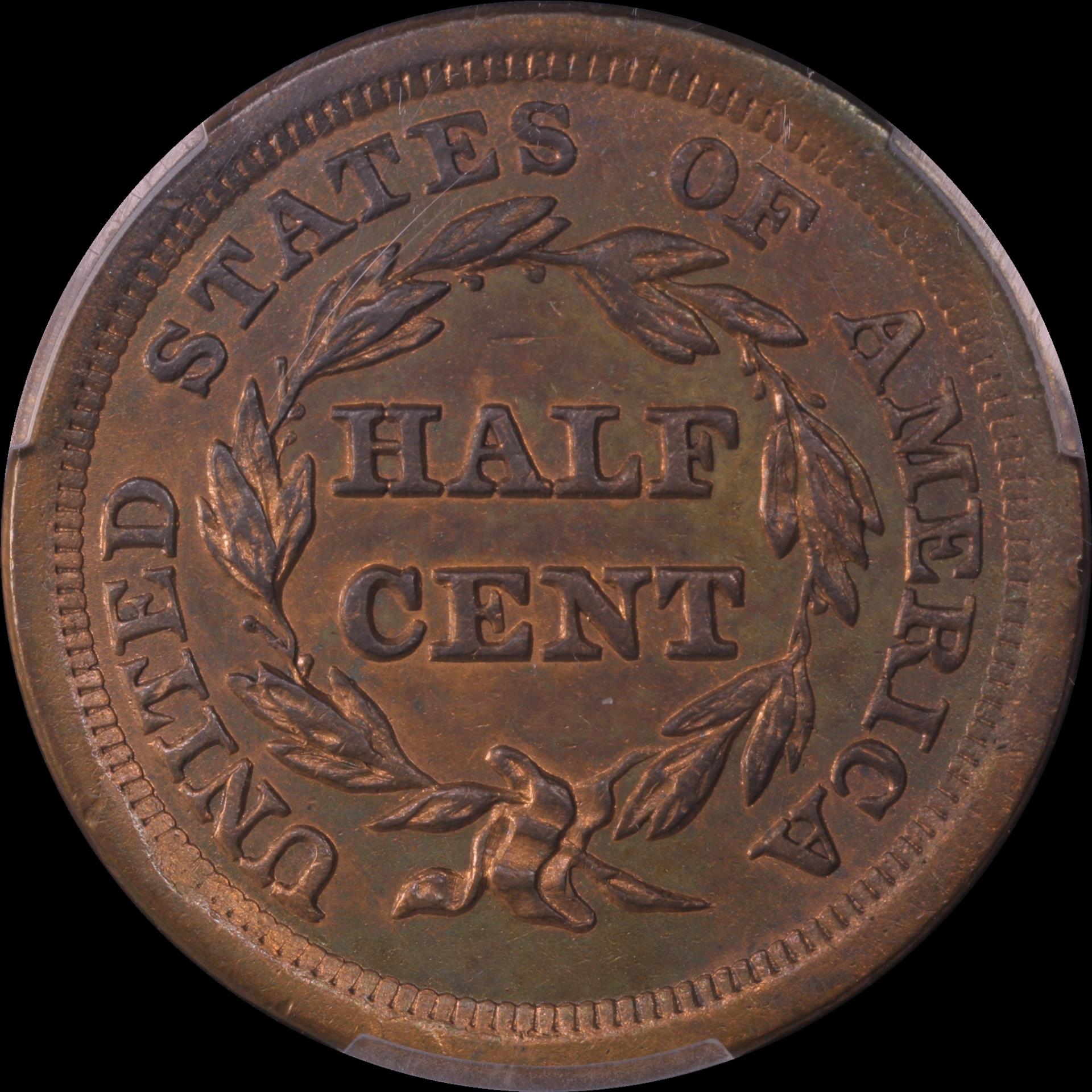 0.5c 1855 reverse 04.JPG