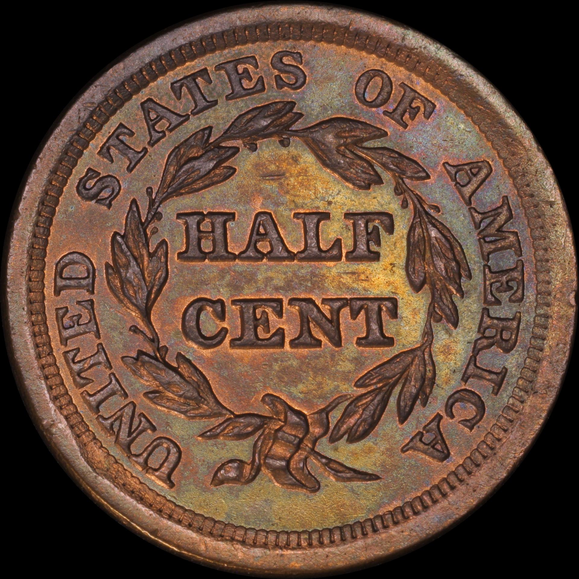 0.5c 1855 reverse 05.JPG