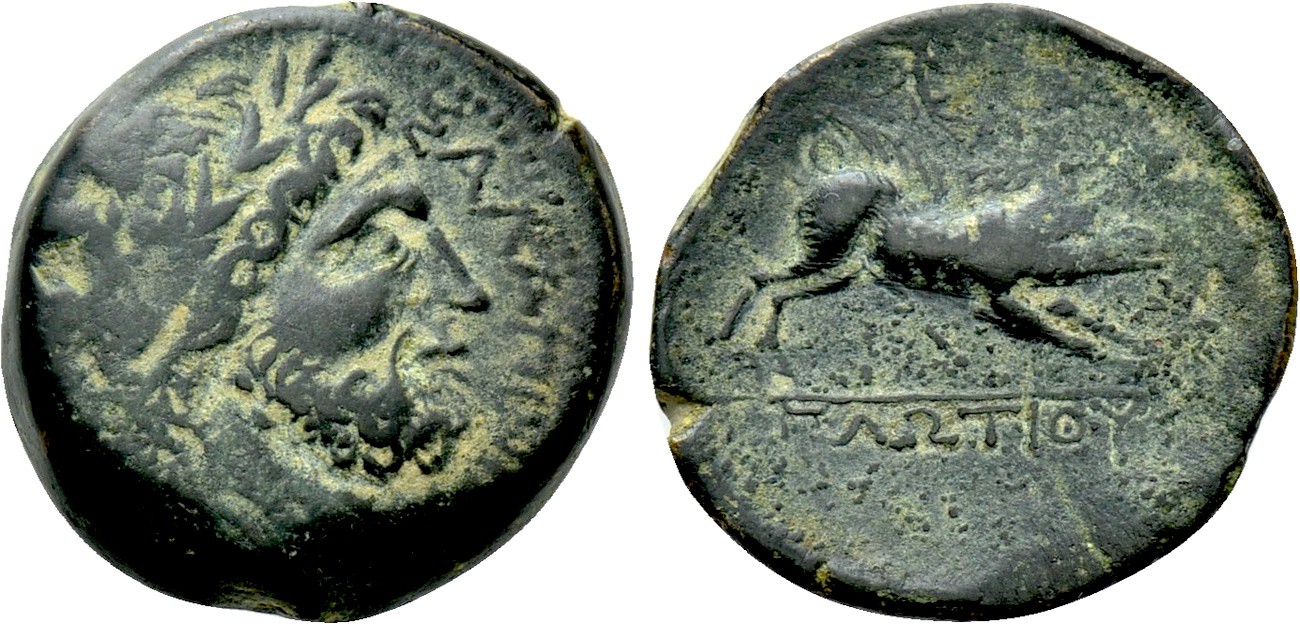 00-Salapia5165983.jpg