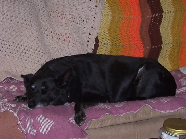 000_3624.jpg