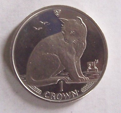 000_6772.jpg