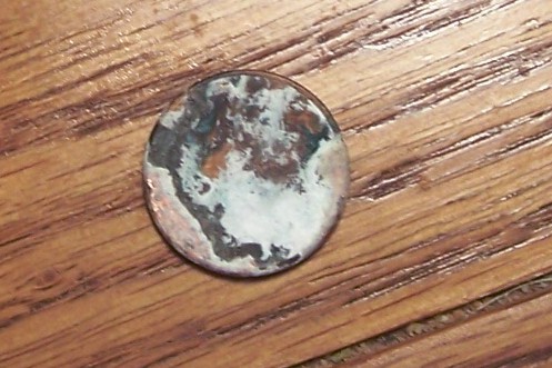 000_7290.jpg