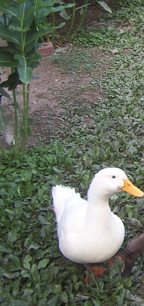 000_7361.jpg