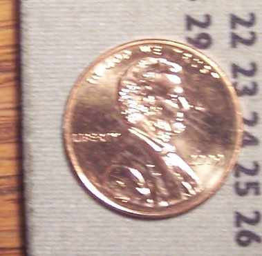 000_7497.jpg