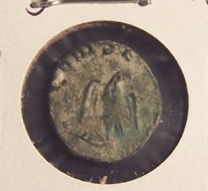 000_7550.jpg