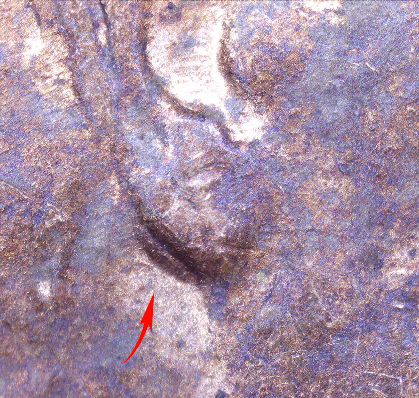 00114b.jpg