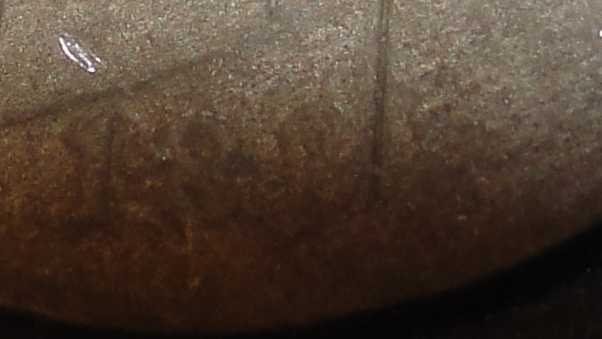 002.JPG