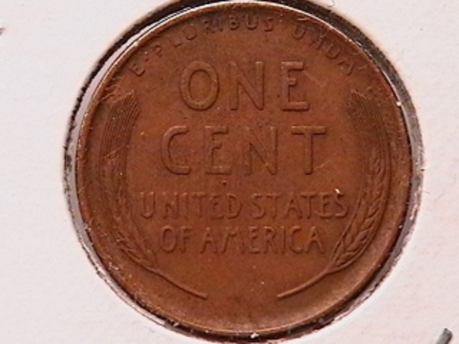002e.jpg