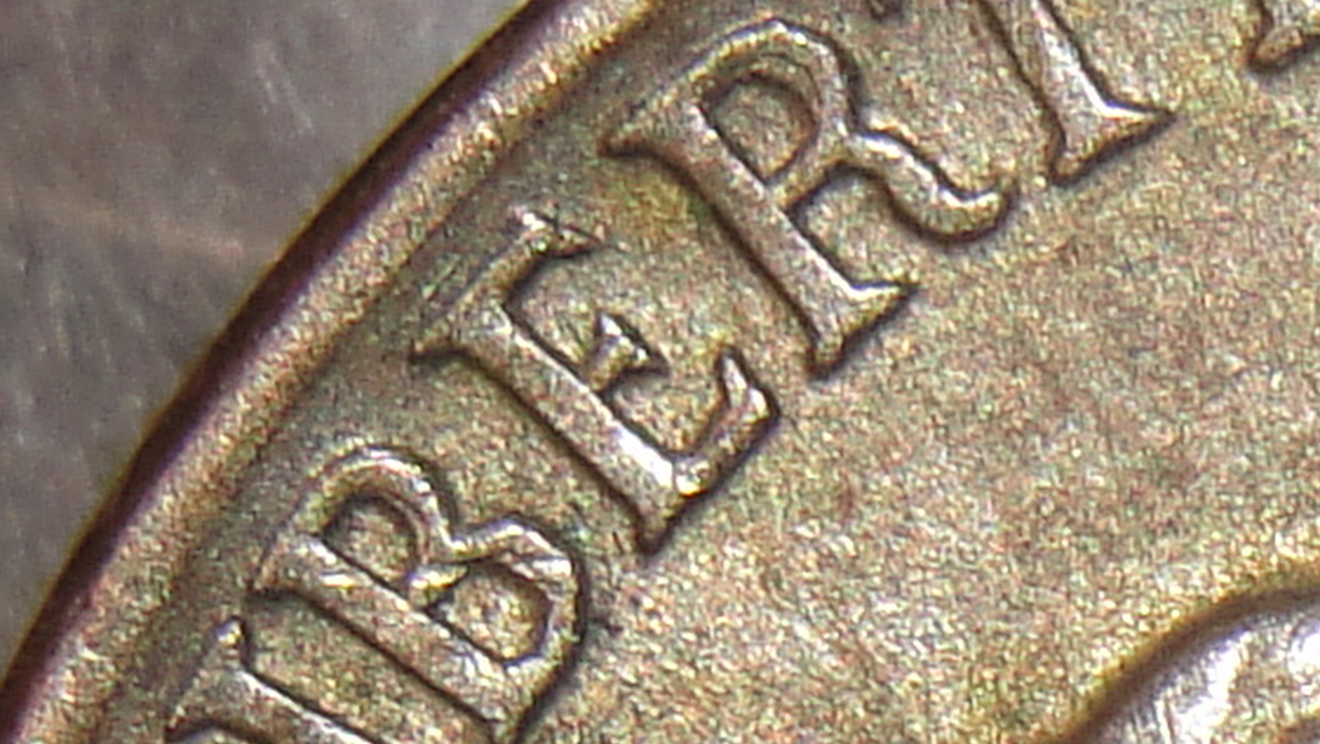 003.JPG