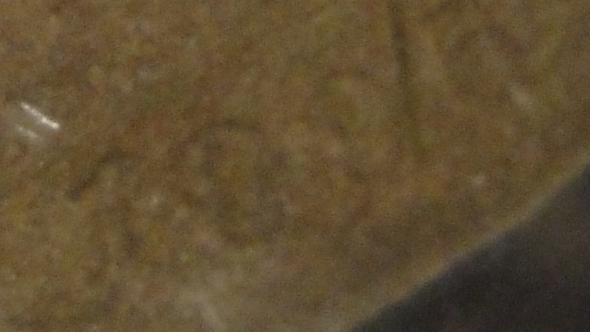 003.JPG