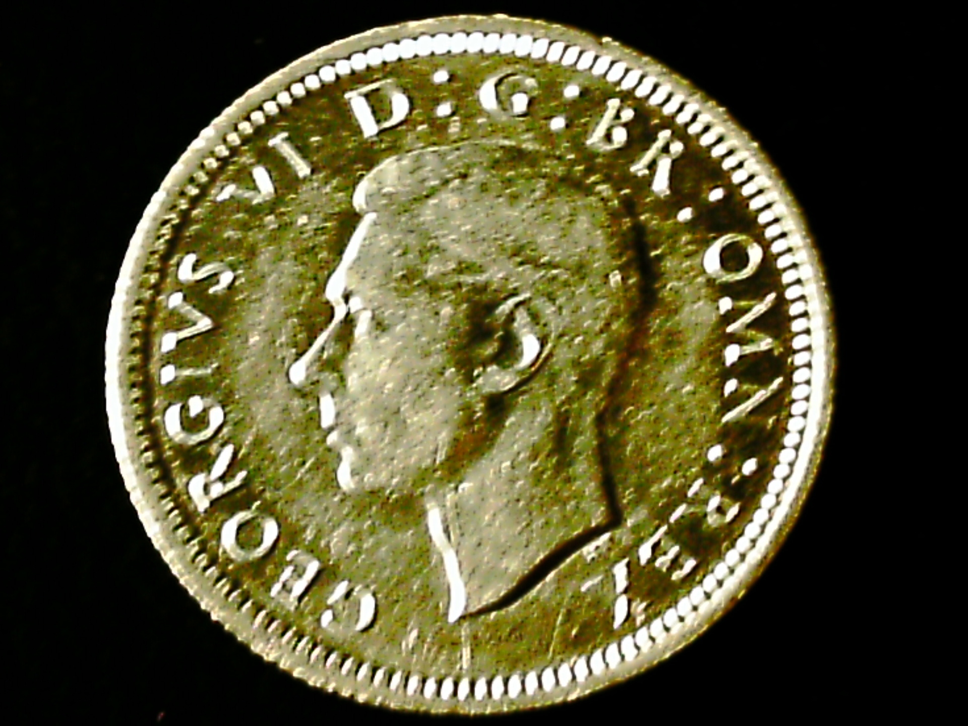 003.JPG
