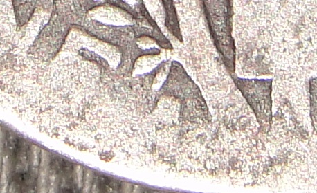 003.JPG