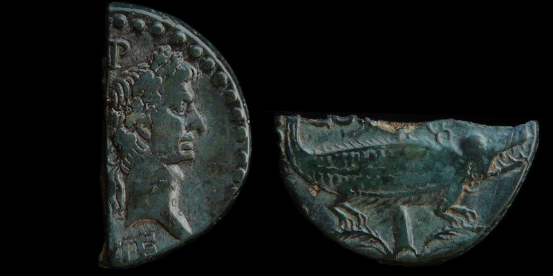 0030-409-1.jpg