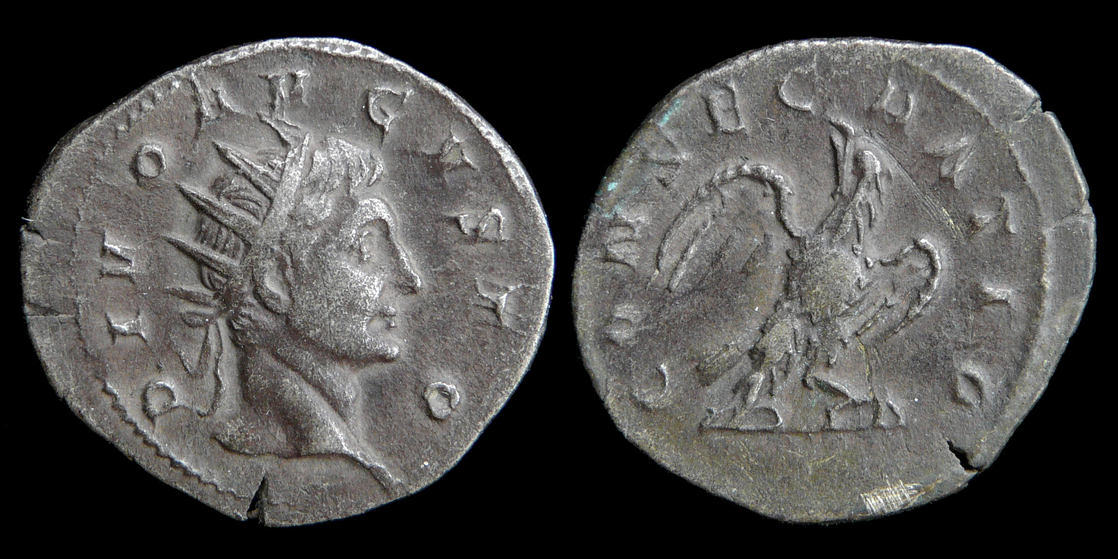 0030-521b.jpg