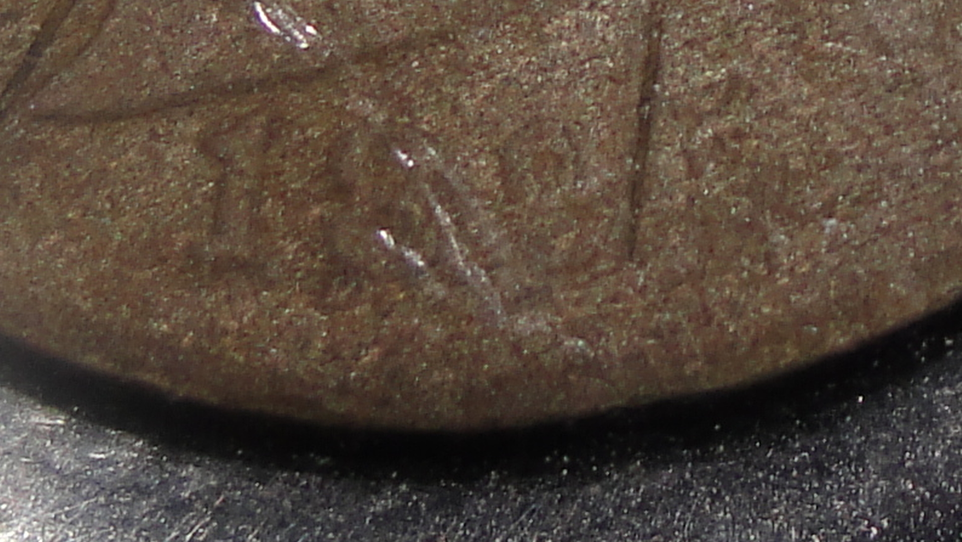 005.JPG