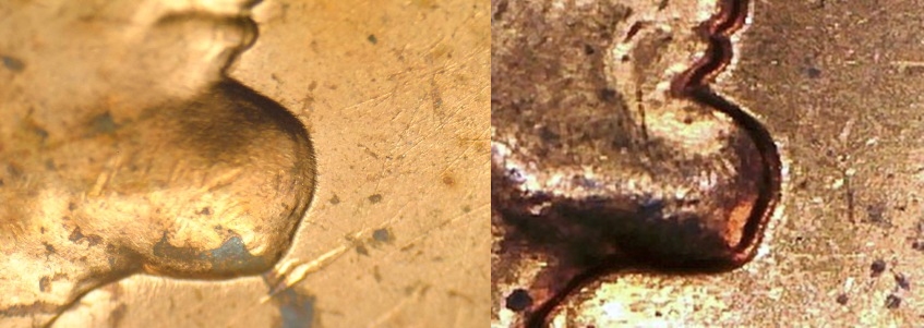 006-horz.jpg