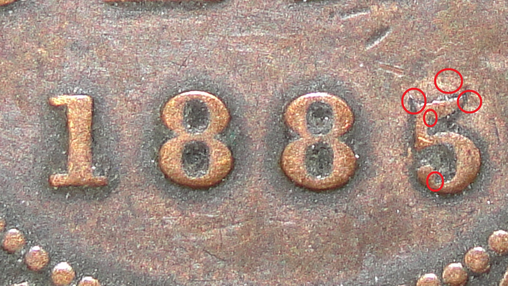 009.JPG
