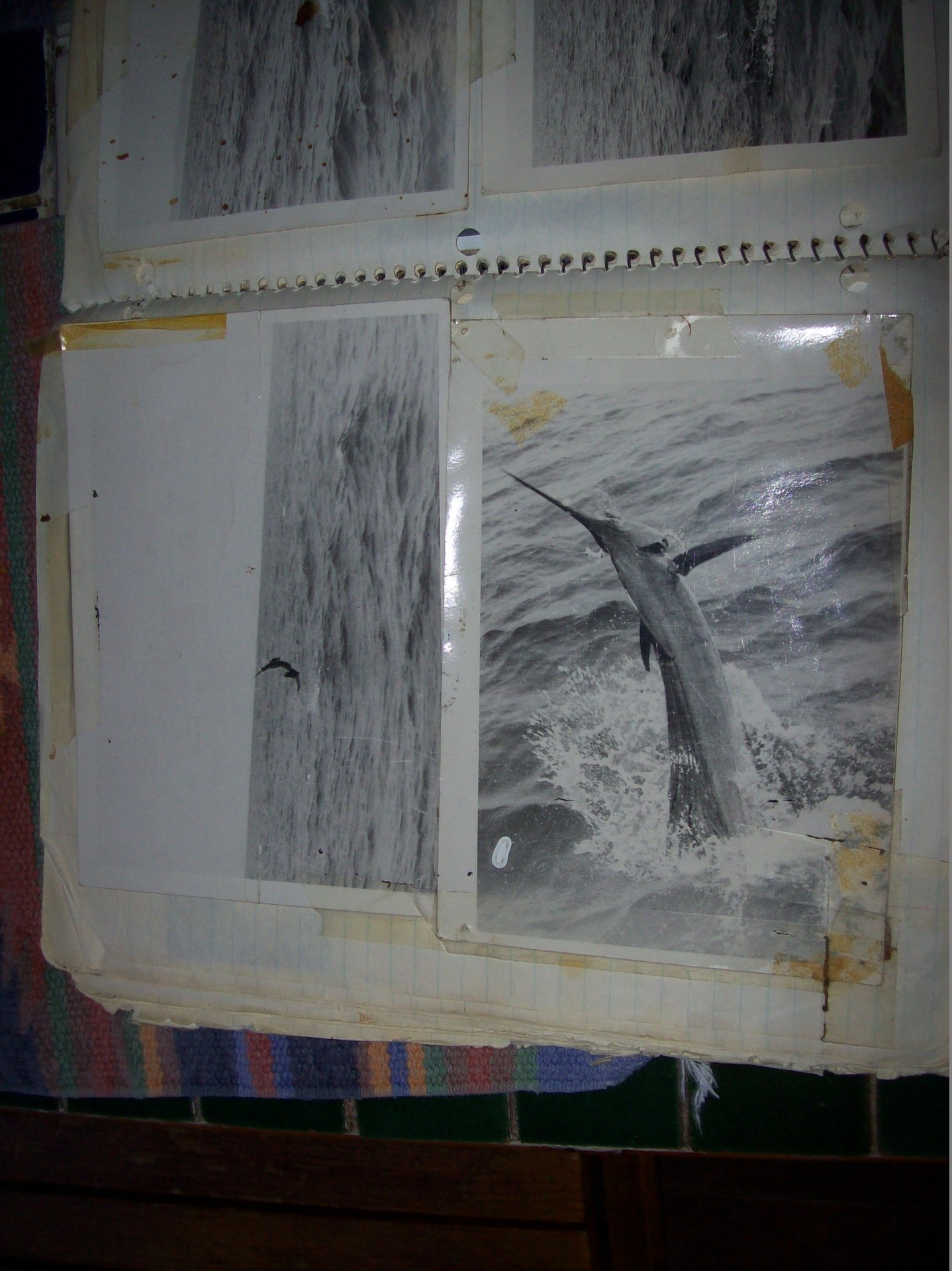 009.JPG