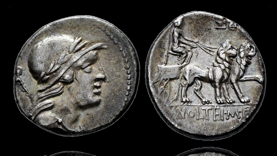 =009-Lion.jpg