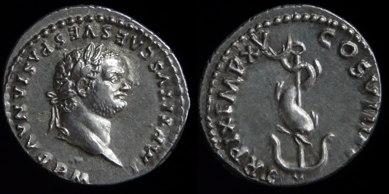 0091-210.jpg