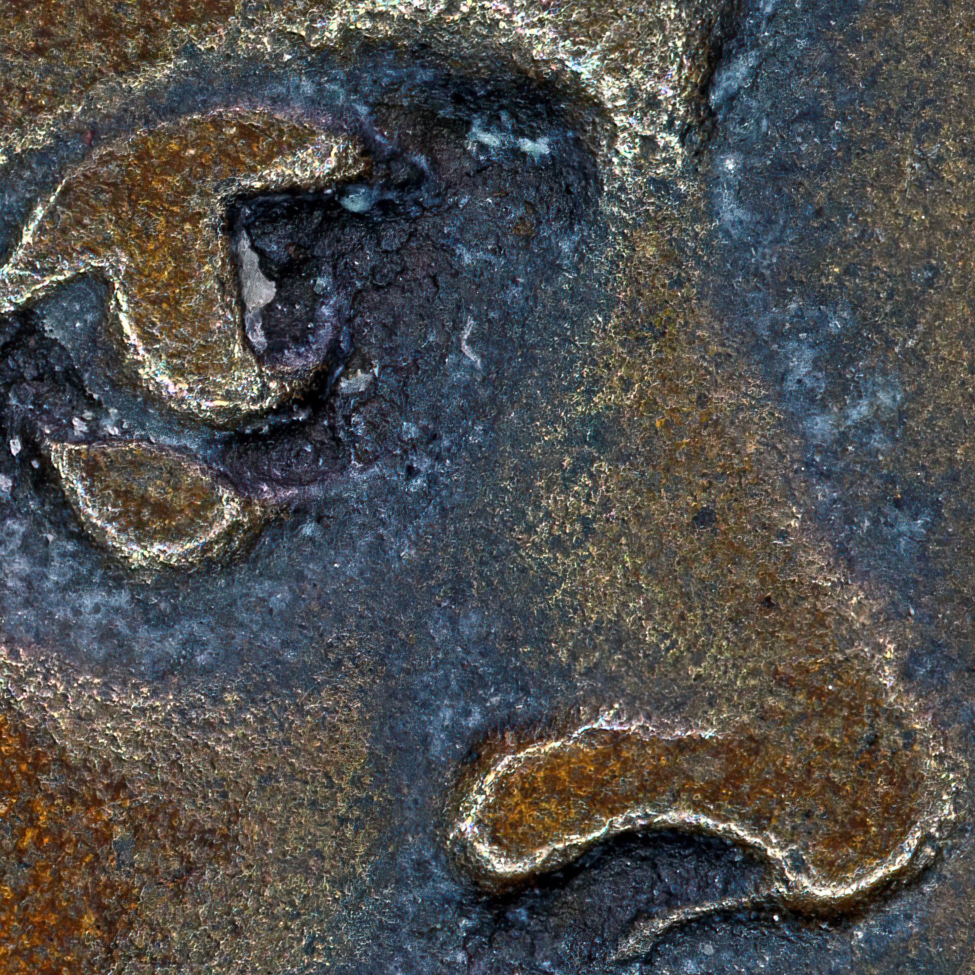00caracalla dc100Cmacrocrop.jpg