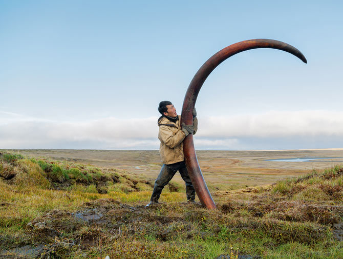 01-pristine-mammoth-tusk-670.jpg