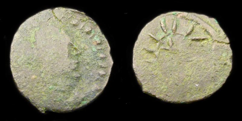 01-SL-Anon-AE-RI-01.jpg