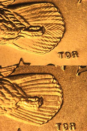 01-Tail-Feathers copy.jpg