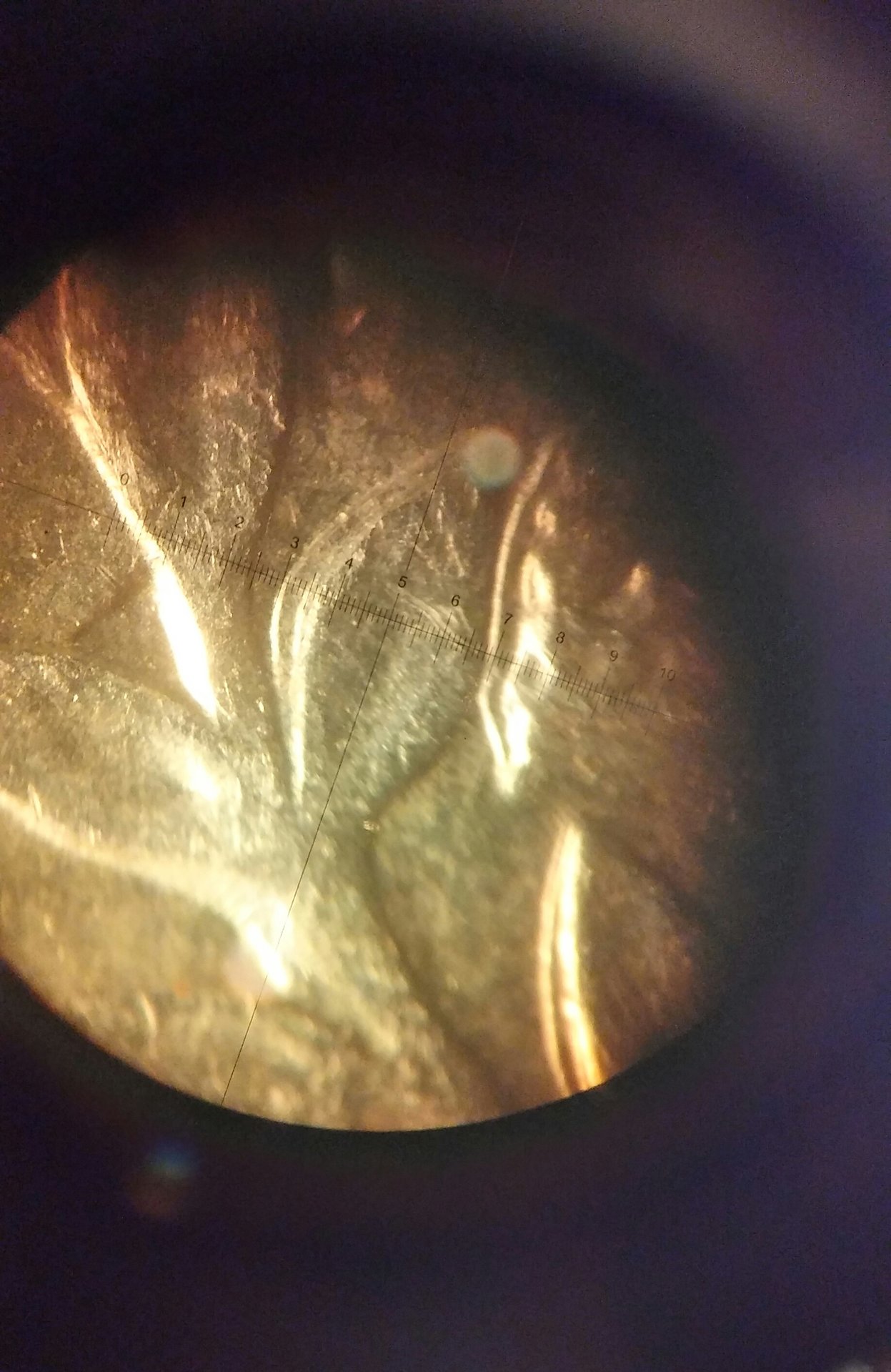0101190320b_HDR~2.jpg