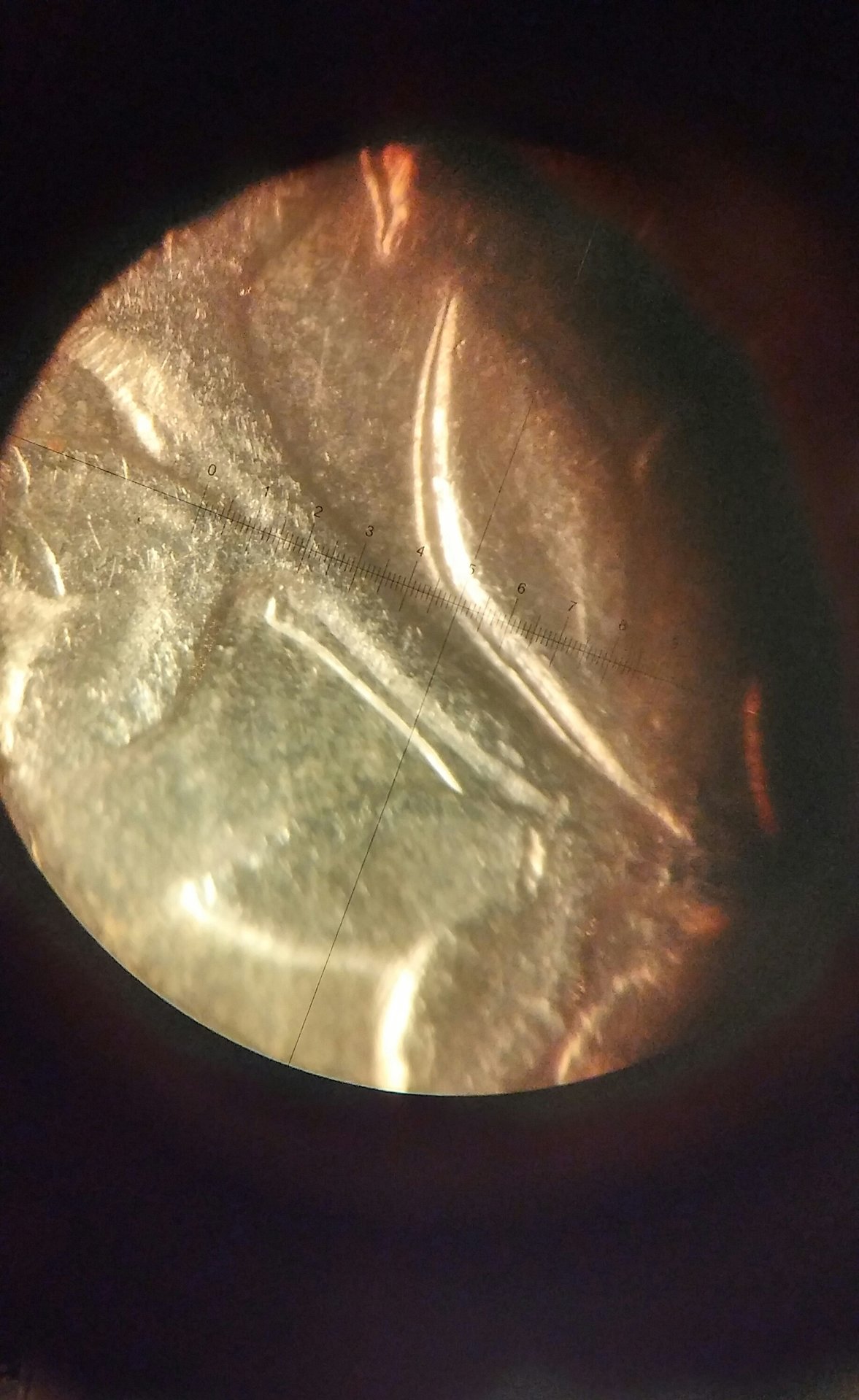 0101190321_HDR~2.jpg