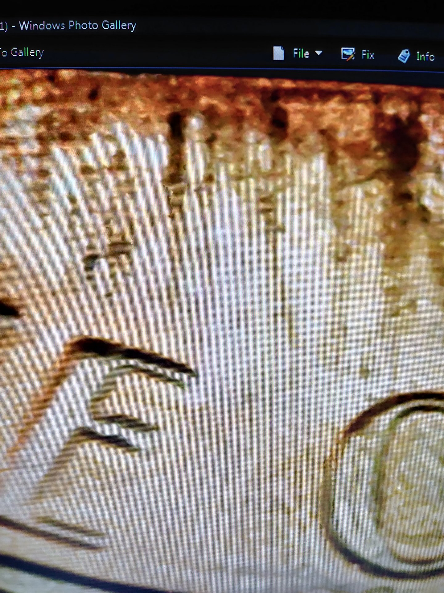 0110182058a_HDR.jpg