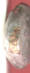 01135edge.jpg