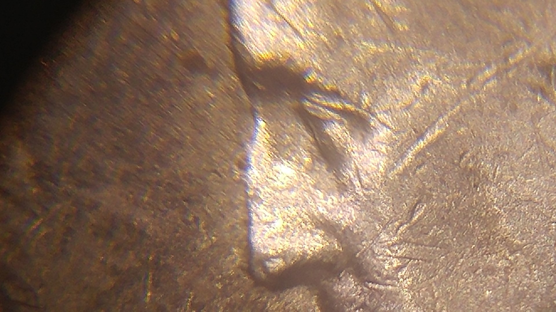 0116172147.jpg