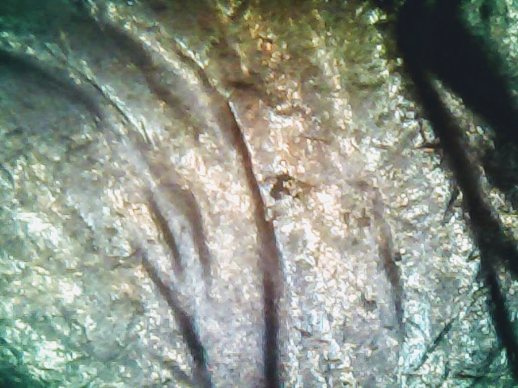 0119-7.jpg