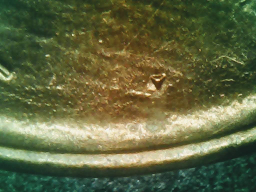 0124-18~2.jpg