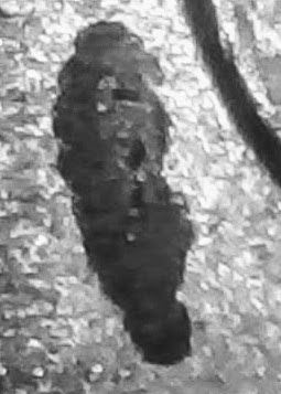 0124-20.jpg