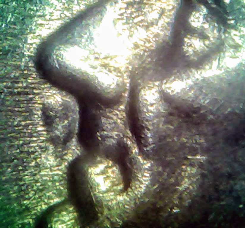 0127-12.jpg