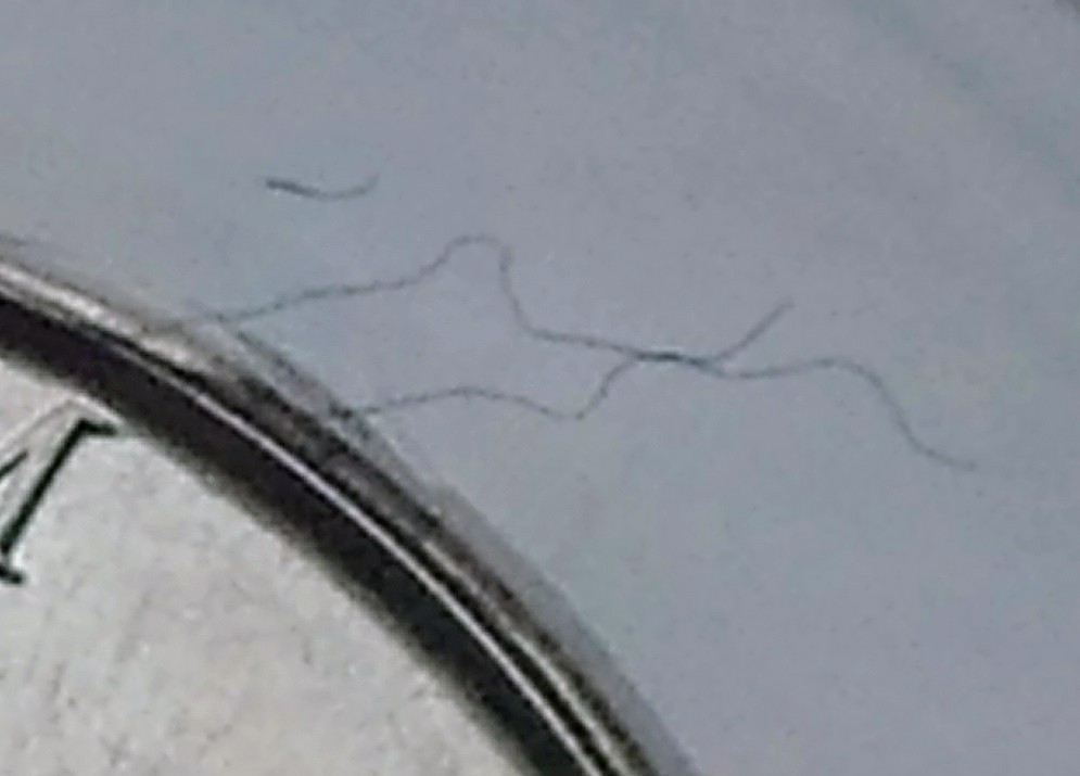 0127180816.jpg