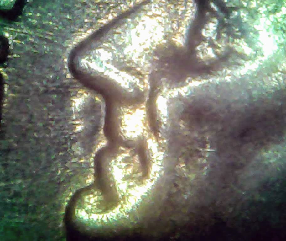 0128-9.jpg