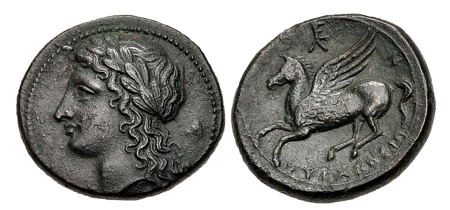 ==013 Pegasus.jpg