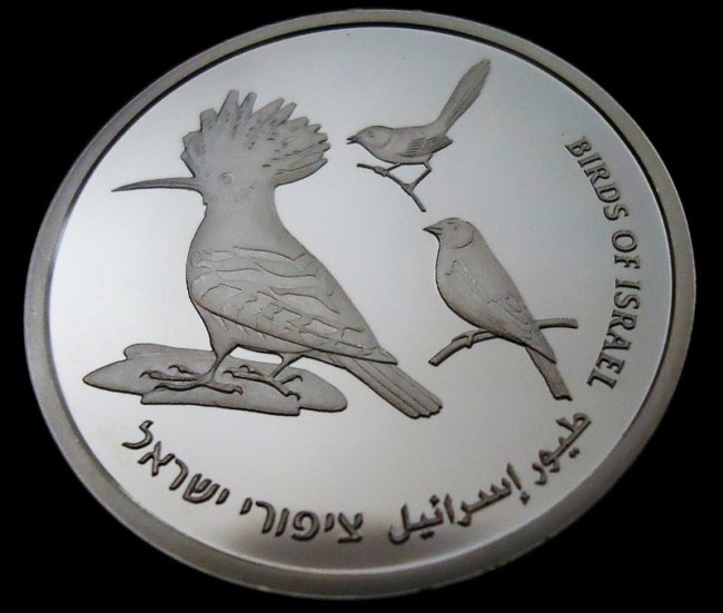 015-birds_obverse_3.jpg.medium.jpeg