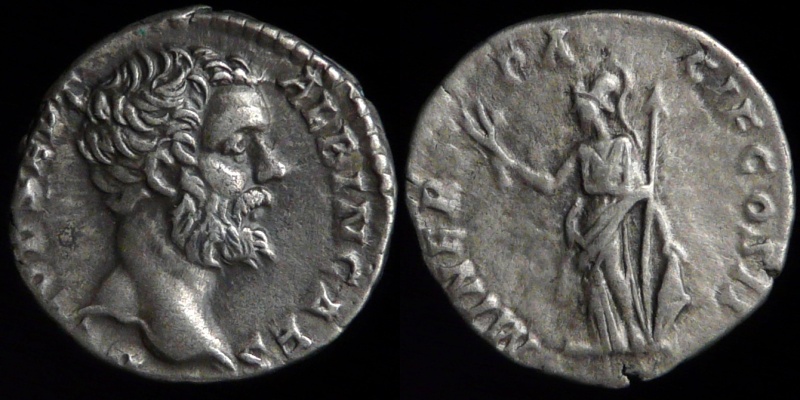 0175-210.jpg