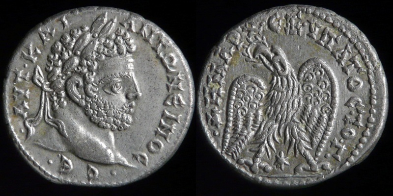 0190-410-1176.jpg