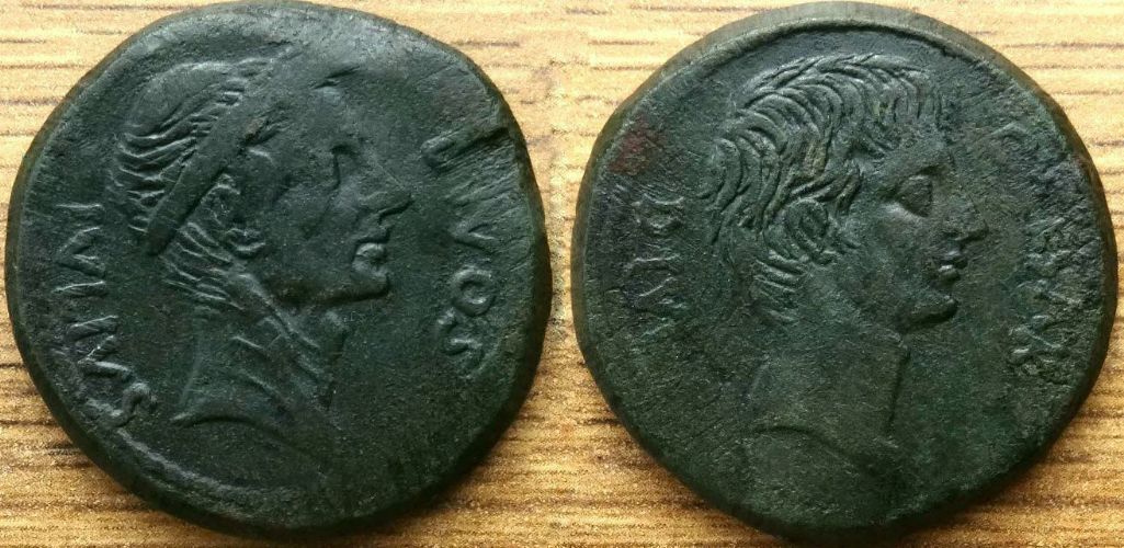 01A---Julius         20'8.jpg