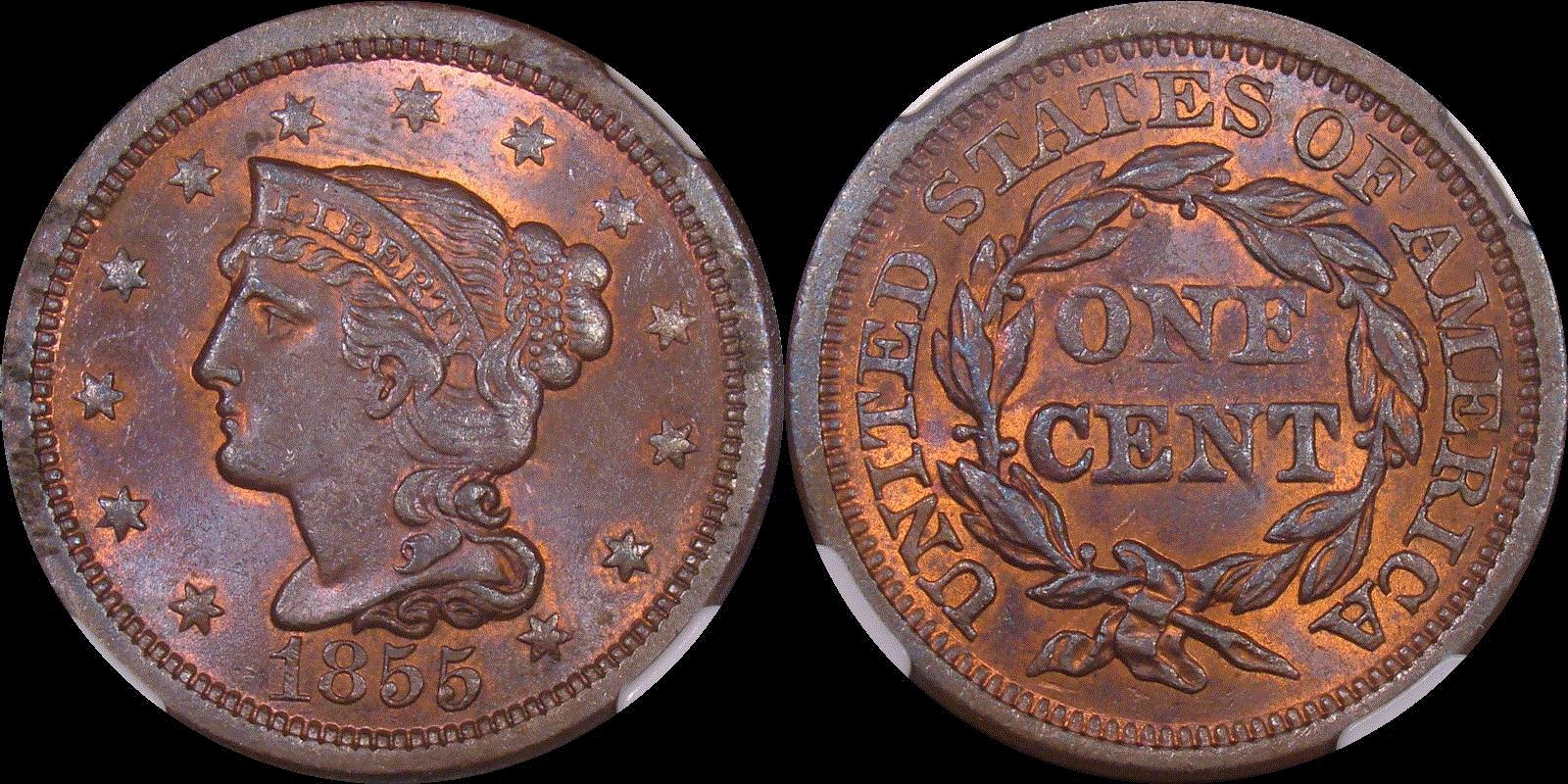 01c 1855 full 01.gif