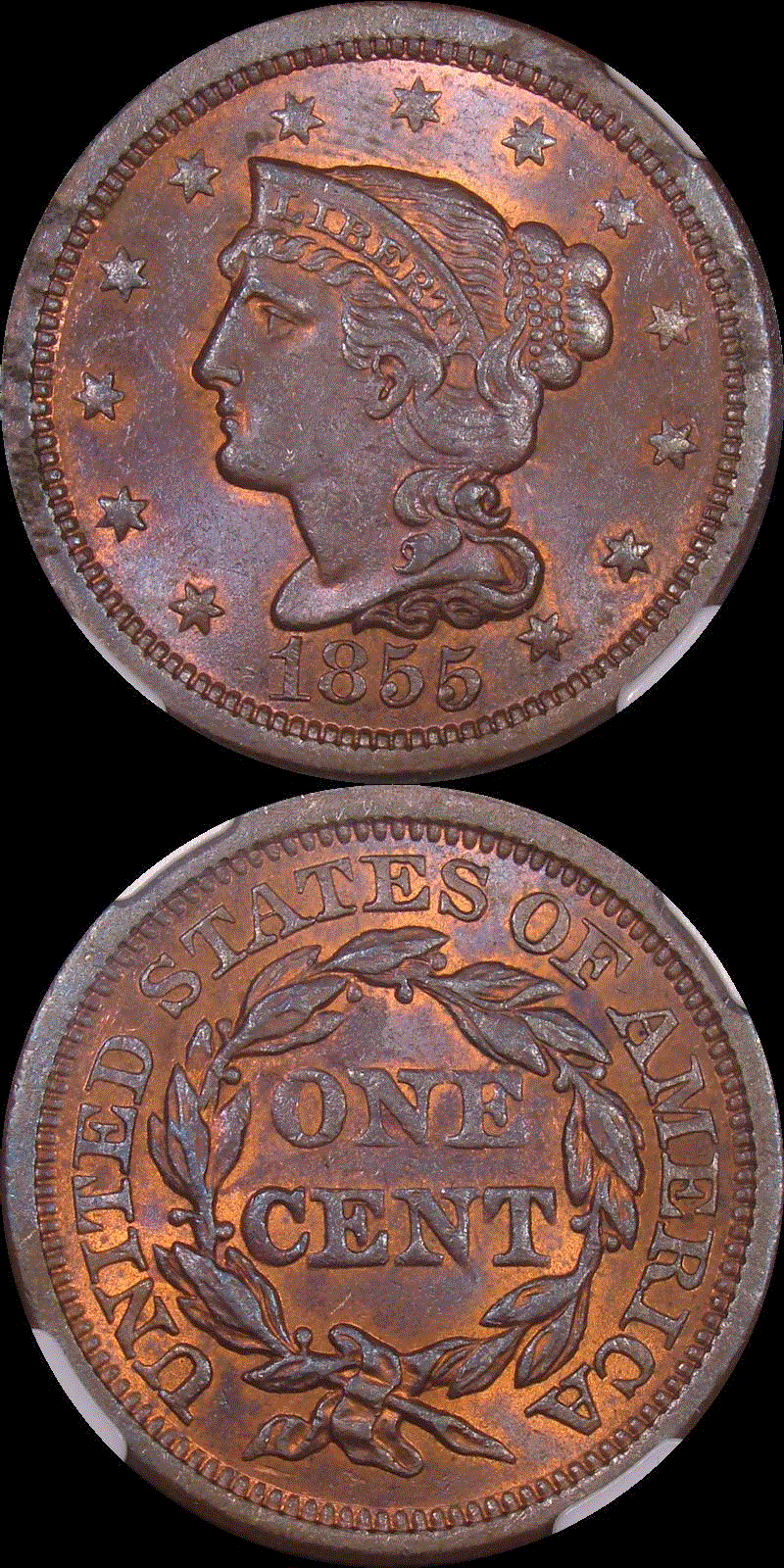 01c 1855 full 01.gif