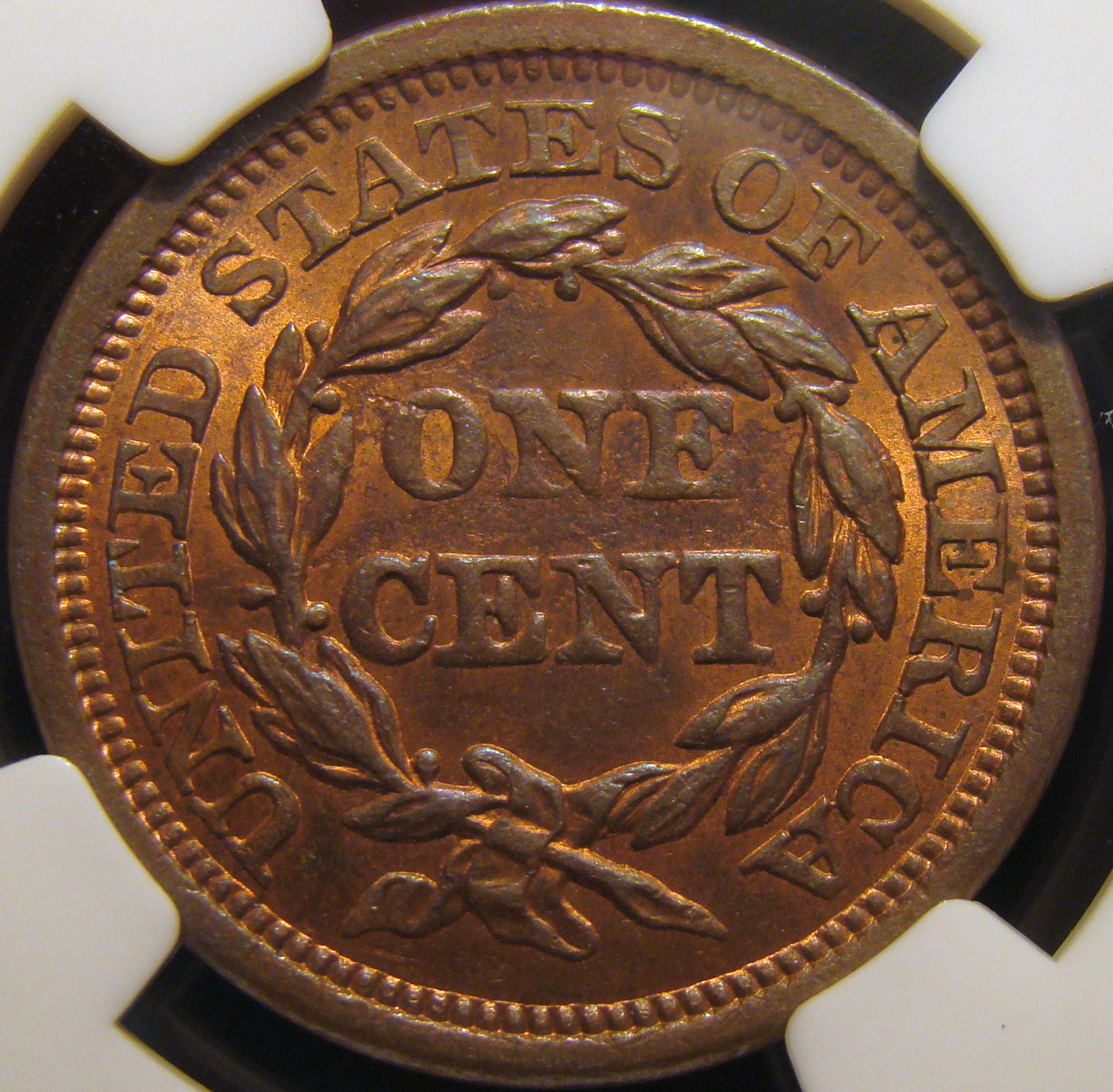 01c 1855 reverse.jpg