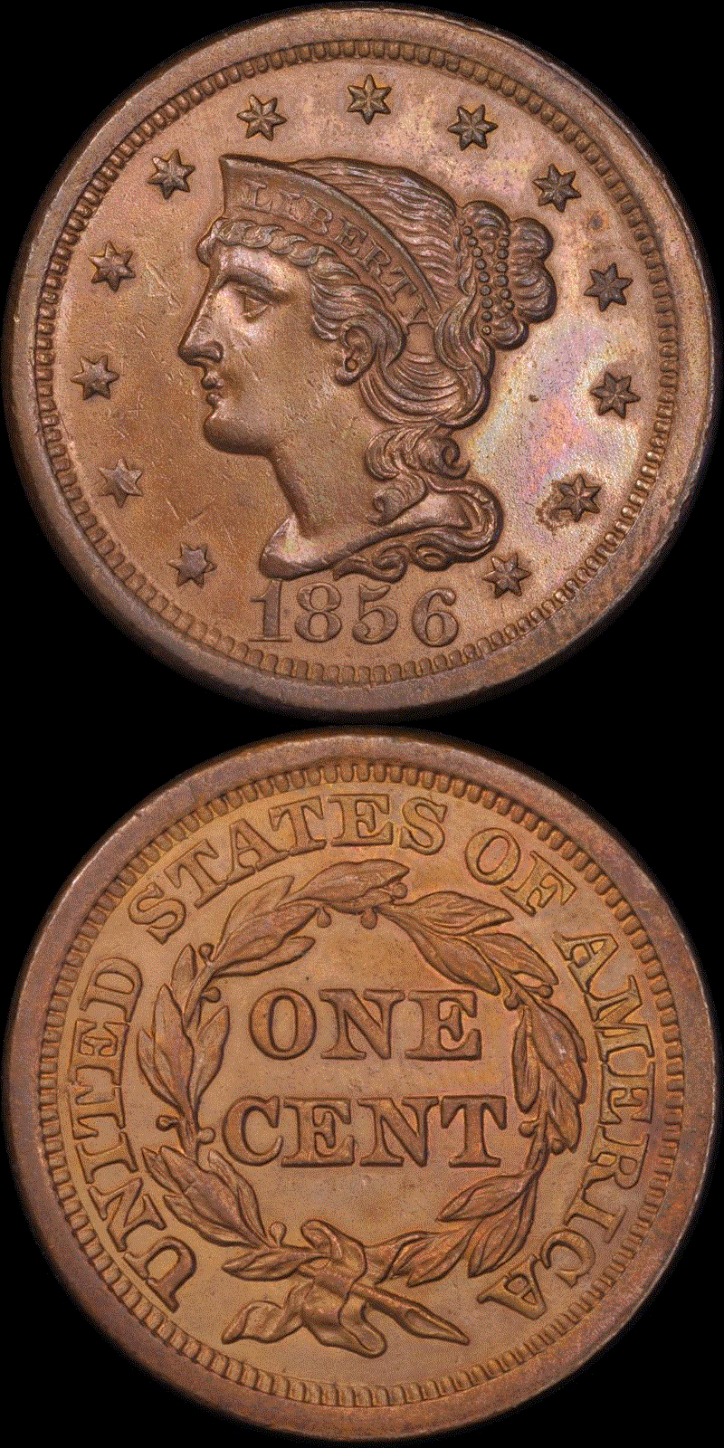 01c 1856 full 01.gif